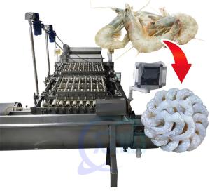 Système pratique de peeling de crevettes 3KW Multifonctionnel pour le nettoyage