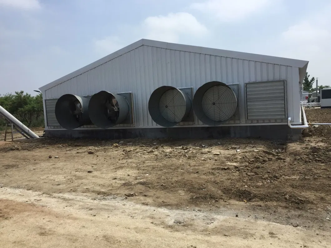 CE Livestock Farm House Steel Structure Chicken House And Equipment For Chicken