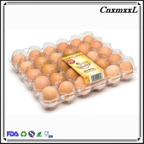 Convenient and eco-friendly adenium seeds taiwan seed tray plastic seedling tray made in China