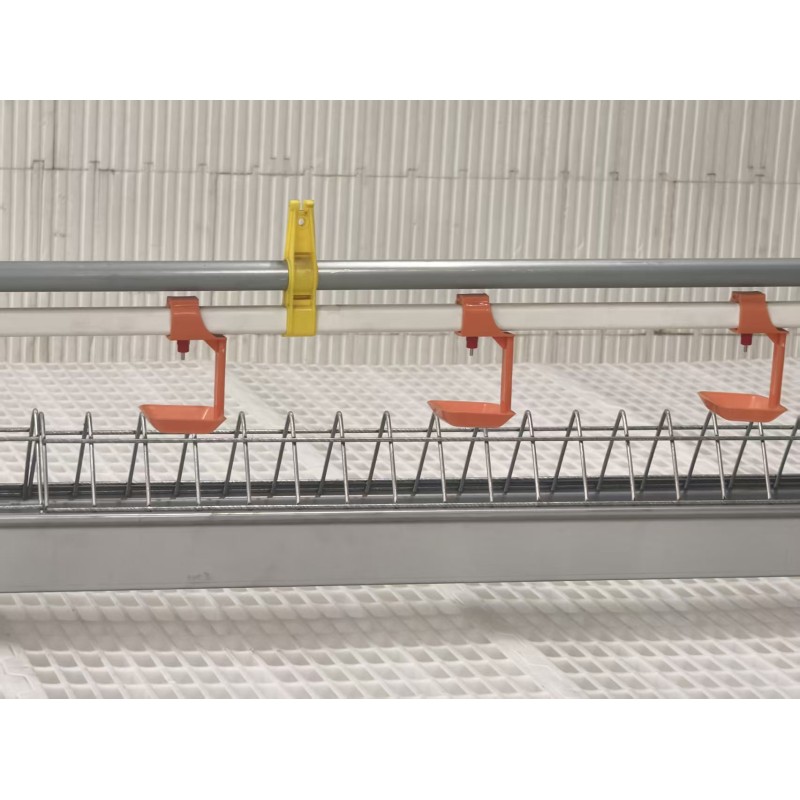Fully Automatic Poultry Feeding System with Corrosion Resistant High Efficiency Chicken House Feeding Equipment
