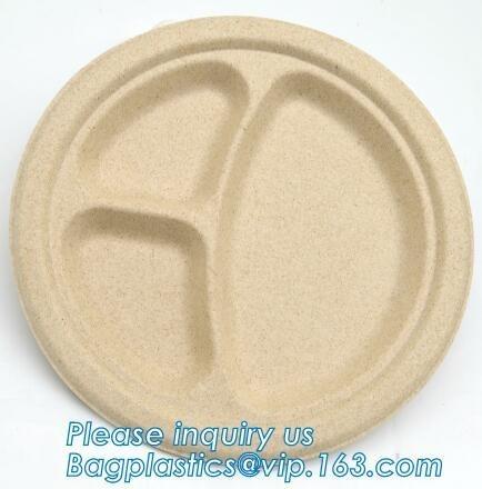 Food Eco Friendly Dinnerware Fruit Snack Biodegradable Corn Starch PLA Foamed