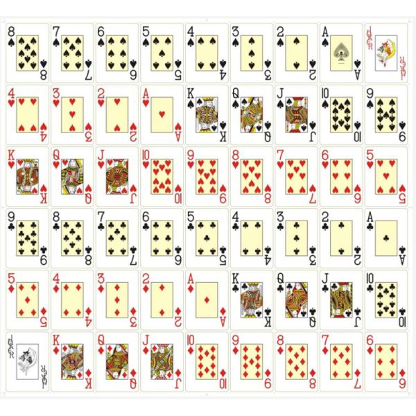 Flexible 0.32mm Waterproof Plastic Playing Cards