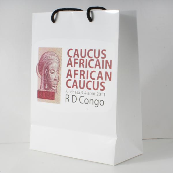 Service d'impression adapté aux besoins du client de sac de transporteur pour le sac à provisions, sac de transporteur, sac promotionnel
