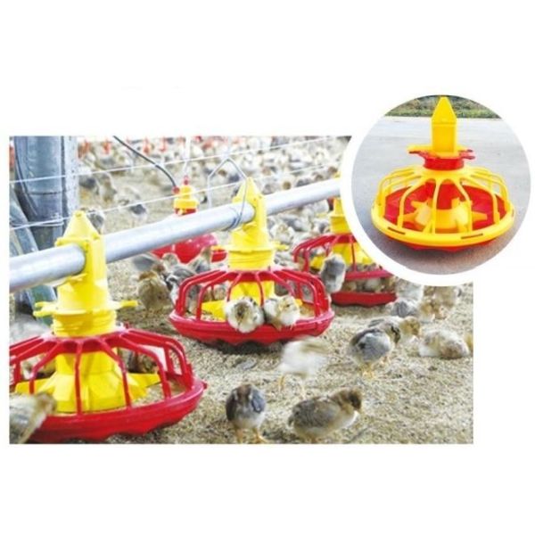 肉鶏と小鳥のための自動飼育システム