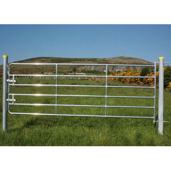 Portable Cattle Yard Panels Corral Sheep Panel 50X50MM Vertical Tube 4FT X 8FT