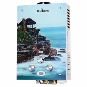 6L мгновенный газовый водонагреватель бытовой краски стеклянный панель