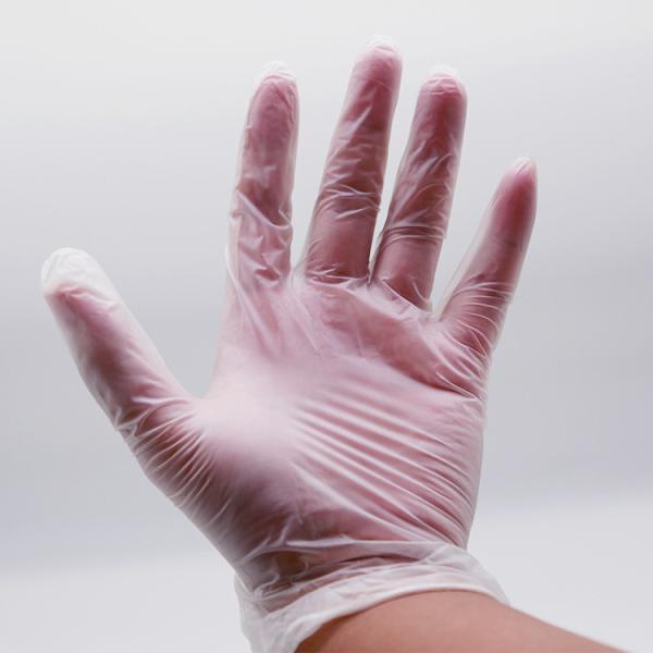Medical Examination Food Grade Restaurant Household Tattoo Gloves Disposable Clear Vinyl Gloves Powder Free
