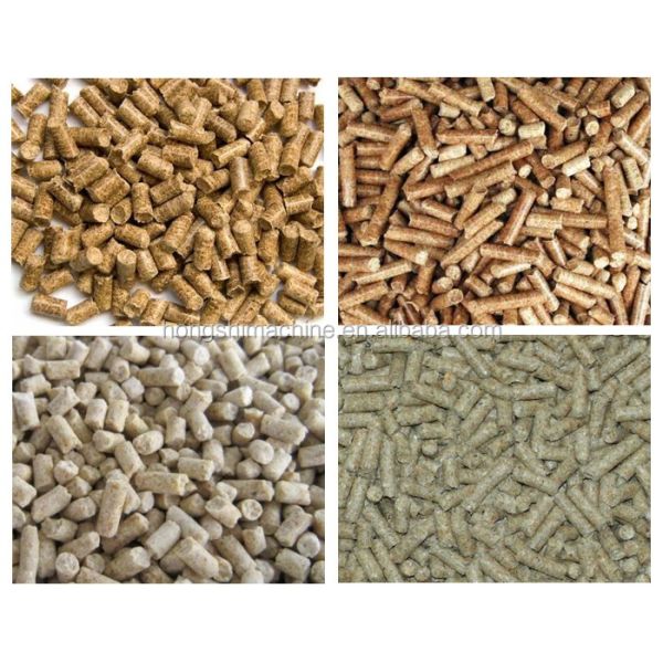 Small Capacity Flat Die Biomass Pellet Plastic Recycle Machine Low Price