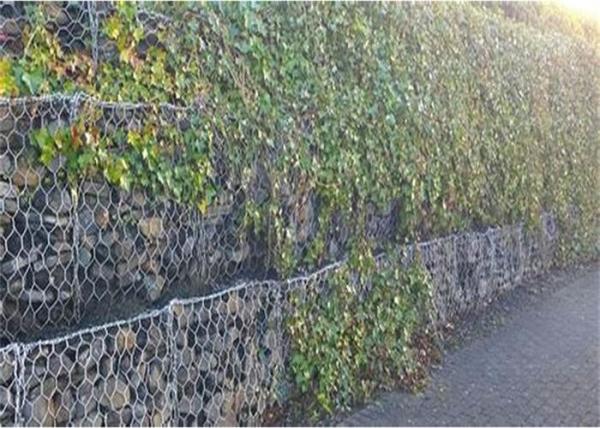 Low Carbon Steel Diameter 2.0mm 2m×1m×1m Gabion Wire Mesh