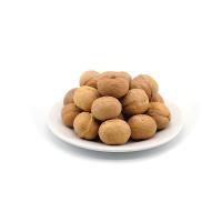 Gros de noix de Chine dans la coquille 32 mm noix fraîches à bas prix produits les plus vendus Amazon