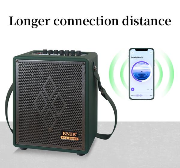 Customized Karaoke Portable Bluetooth Speaker 6.5 Inch Subwoofer Speaker Box