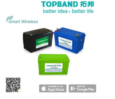 Smart Bluetooth Lithium Battery Deep Cycle Batteries 100Ah Typical Capacity