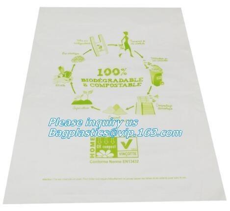 ok compost home certified custom wholesale PLA based biodegradable compostable vegetable fruit plastic produce bag on