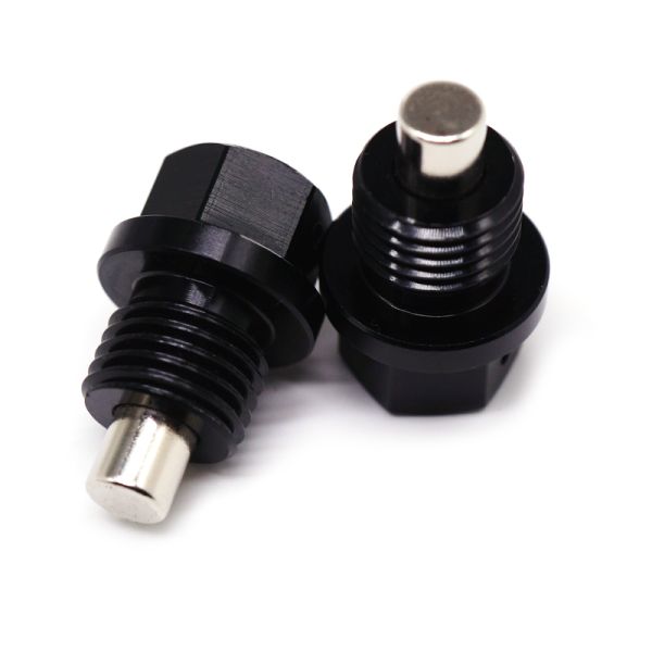Black Hex Step Security Bolts Special Fasteners With Silver Top