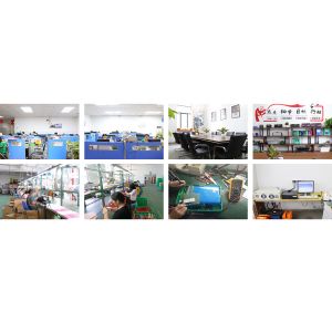 Anhui SURE ELECTRONICS CO.,LTD