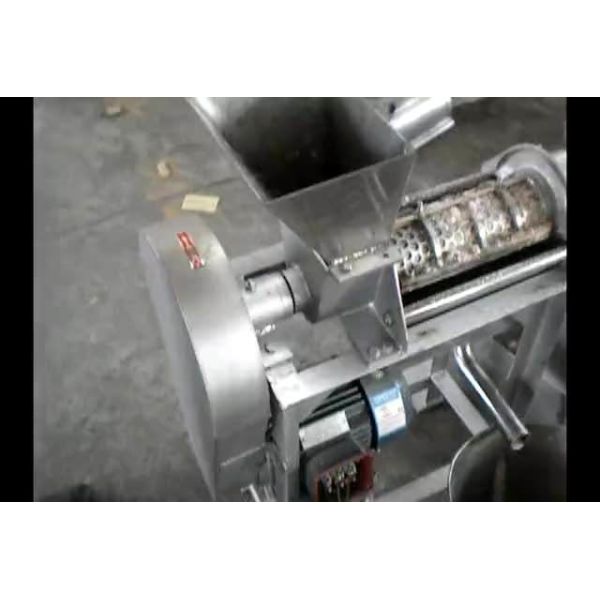 Máquina de producción de jugo de frutas de alta calidad para la industria de prensa en frío extractor de jugo