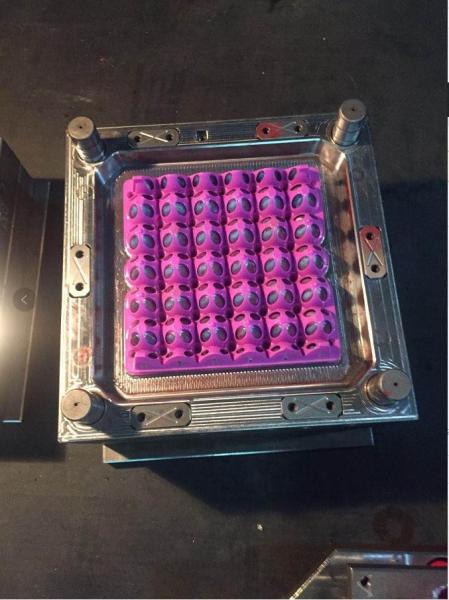 Custom Energy Saving Injection Molding Machine For Plastic Egg Tray Mould