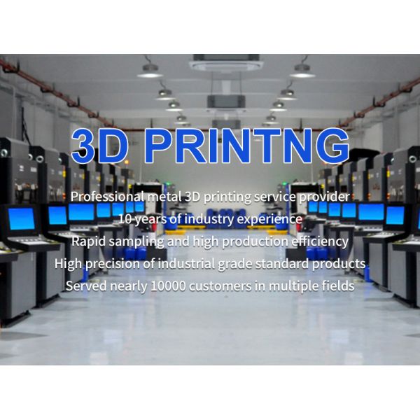 3D Printing Service Slm 3D Print High-Quality Stainless Steel Titanium Metal Models