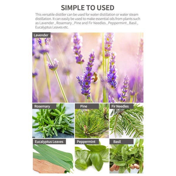 Essential Oil Extraction Equipment Pure Rose Hydrosol Distiller with Steam Distillation