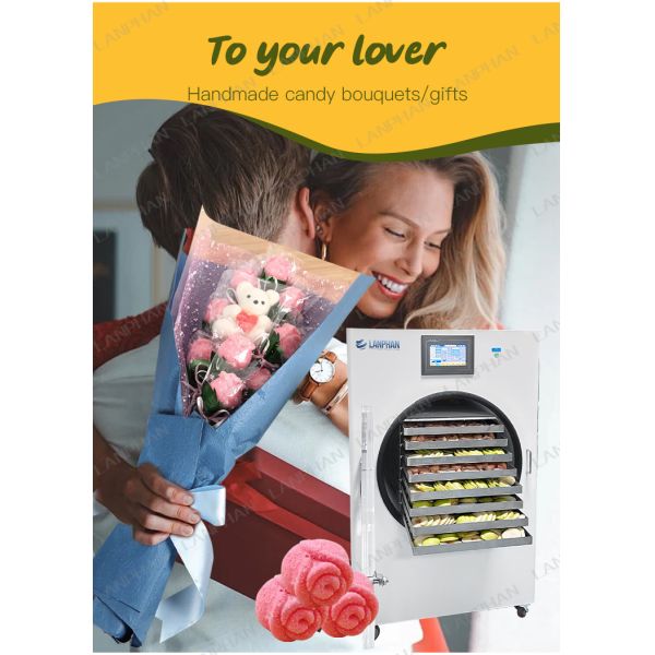 Equipement de séchoir à gel Fruits bonbons Viande séchoir à gel 220V