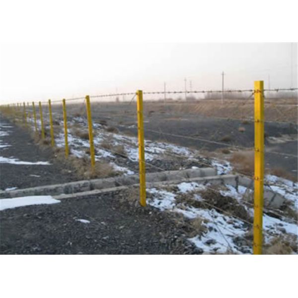 25kg 1.8mm 10x12 гальванизировало провод бритвы