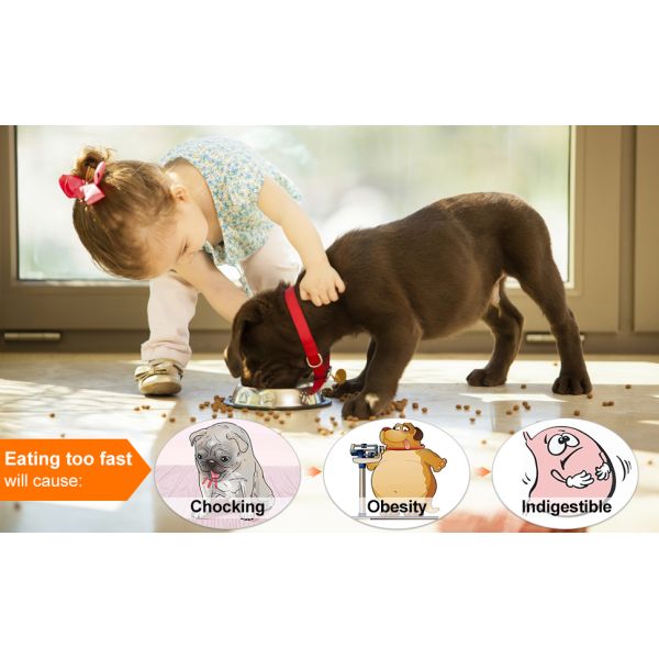 Медленный съешьте шар собачьей еды медленный питаться взаимодействующий коптит шары собаки стопа ради веселья
