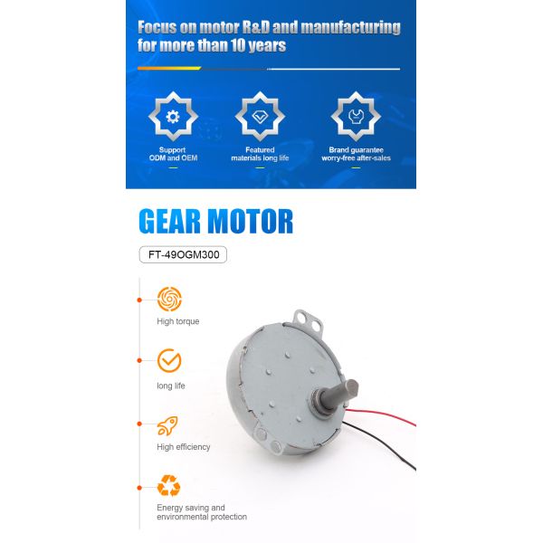 Factory Wholesale FT-49OGM300 Big Torque Slow Speed  Dc  Gear Motor for Smart Home Appliances