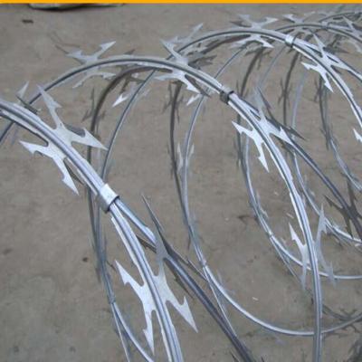 Galvanized PVC Stainless Steel Concertina Razor Barbed Wire Bto-22 Bto-60 Cbt-65 Fencing Wire Price