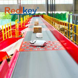 Trieur à roue pivotante personnalisable 6000p/h Machine innovante avancée pour usine