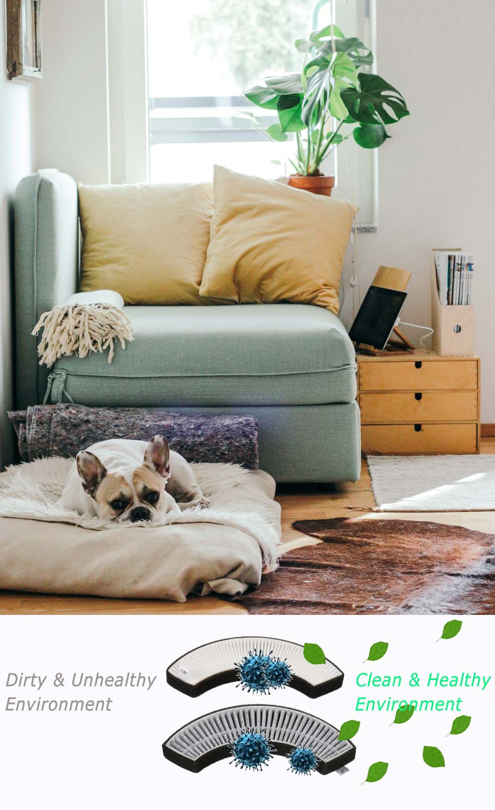 H13 Carbon Cloth Air Purifier Filter with Pet Dander Absorption and Custom Size Options