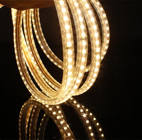 Allumez la lumière de bande colorée de la haute tension LED avec du CE RoHS ETL approuvé