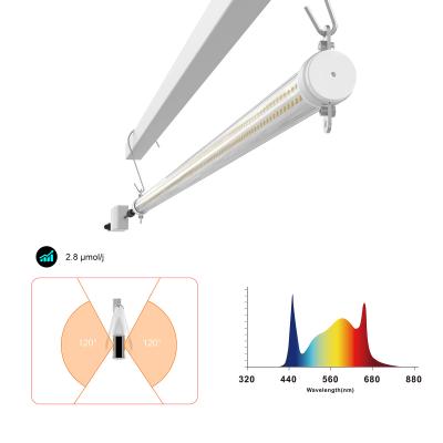 T8 Tube LED Cultivation Light Bidirectional Light Output
