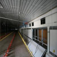 Ferme de volaille Constructions en acier, Q235 Q345 Constructions en acier pour le bétail