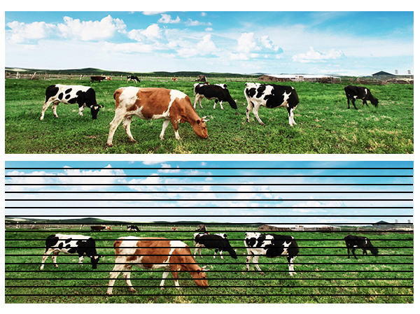 Наружный полноцветный мобильный рекламный грузовик фургон трейлер P6 P8 P10 светодиодный дисплей