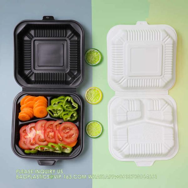 Wholesale 8 Inch Degradable Snap Button Clamshell Lunch Wrapper Bento Box Disposable Food Take Away Packaging