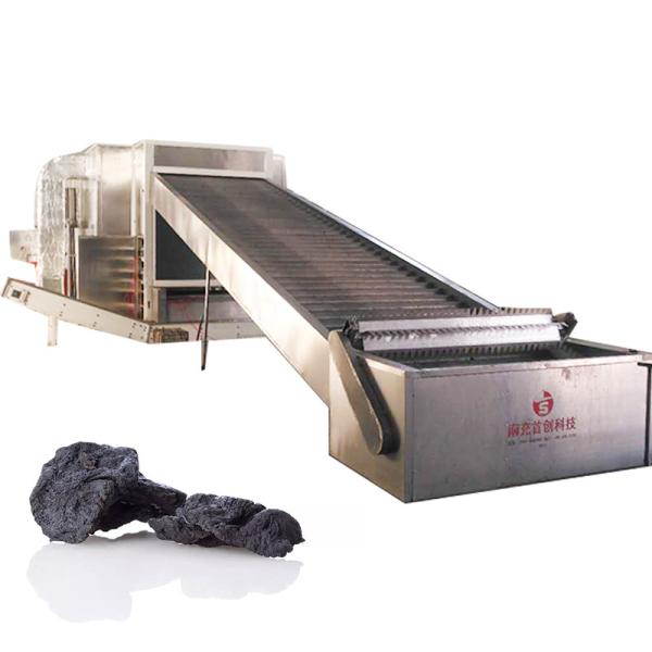 Customized Dehydration Mesh Belt Dryer High Thermal Efficiency