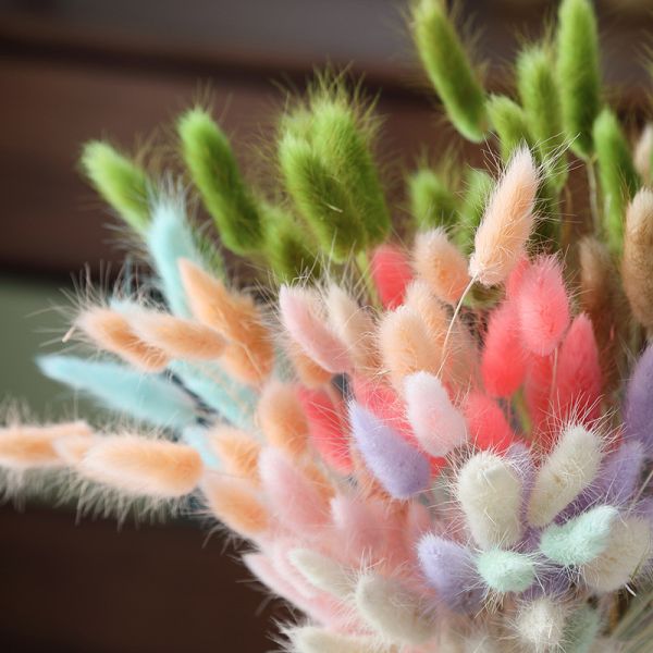 Ins website red flower bouquet eternal life flower home living room decoration ornament rabbit tail grass dog tail grass dried flower