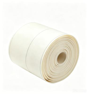 Nylon 66 Dipped Mesh Cloth