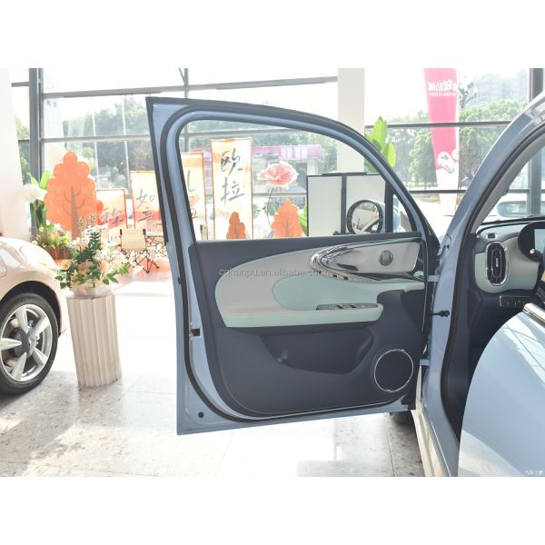 Experience the Future of Driving Ballet Cat Mini EV 5-door 5-seat Hatchback for Women