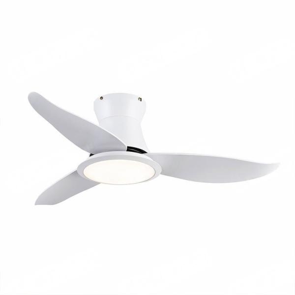 48 pouces 52 pouces ETL CE certifié salon intérieur chambre à coucher télécommande Bldc ventilateur de plafond avec lumière