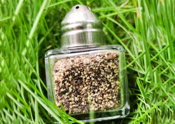 17 ml de mélangeur de légumes en verre de Metalcraft, avec un couvercle métallique robuste