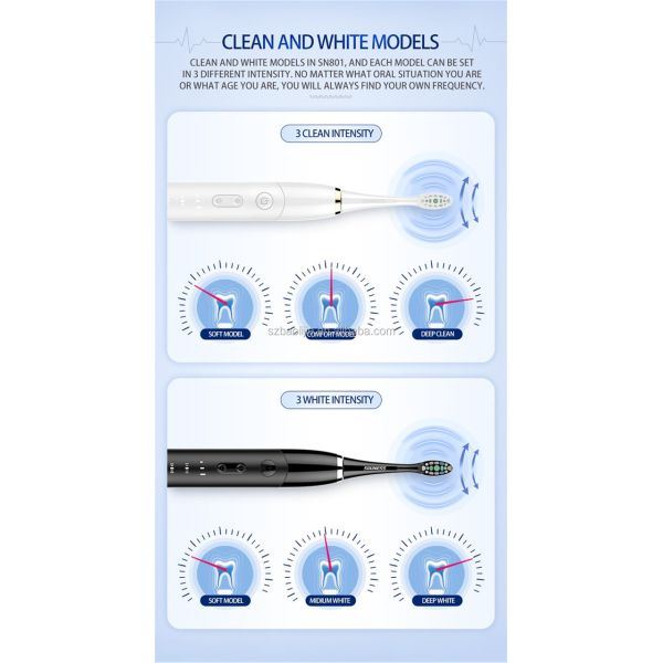 Oral Hygiene Portable Adult Electric Toothbrush 5 Hrs Charge Lasts 30 Days