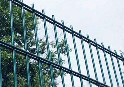 O mergulho quente galvanizou 868 a prisão Mesh Fencing gêmeo