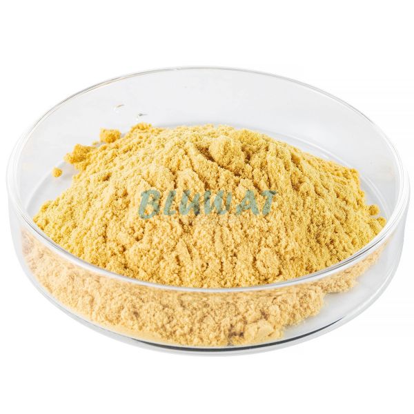 Ferric Sulfate Powder 21% Purity for Wastewater Treatment