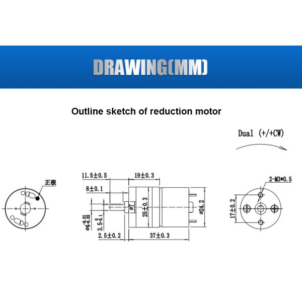 Futeng Motor Custom 25mm Mini Gearmotor 12v 24v High Torque DC Spur Gear Motor for Robot