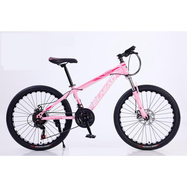 High Carbon Steel Frame Light Weight Mountain Bike Speed Mountain Bicycle For Adult