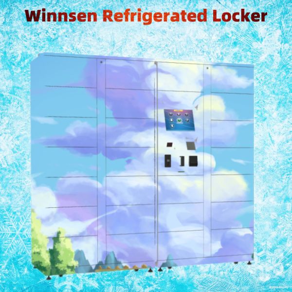 Шкаф электронного хранения шкафчика Winnsen крытый Refrigerated умный замороженный