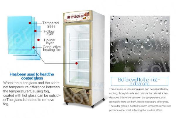 800L Glass Double Door Upright Display Freezer