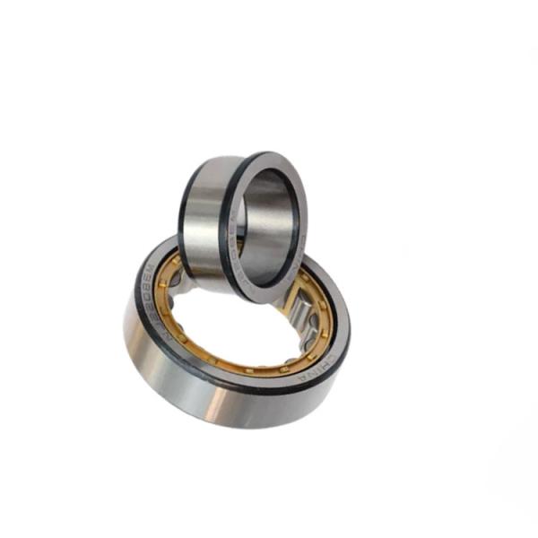 Single Row ECP Nj 204 Bearing Single Row Cylindrical Roller 20x47x14mm NJ204ECM