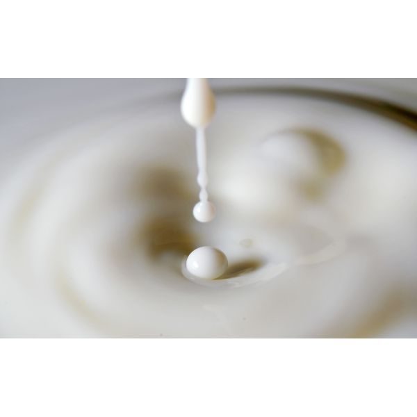 La lechería utilizó diversa capacidad centrifugadora de 3 fases para el tratamiento de la leche